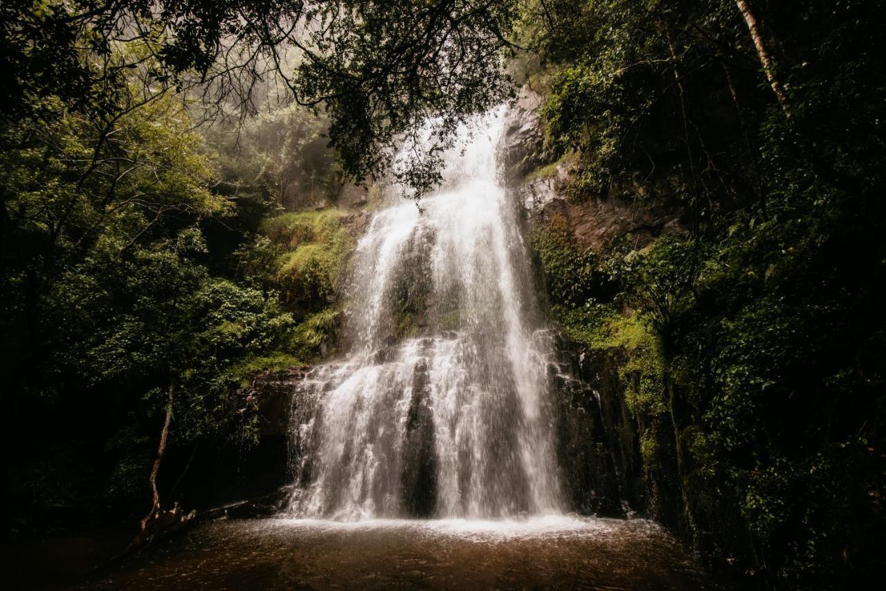 Mount Sheba Rainforest Hotel & Resort Pilgrimʼs Rest Exteriér fotografie