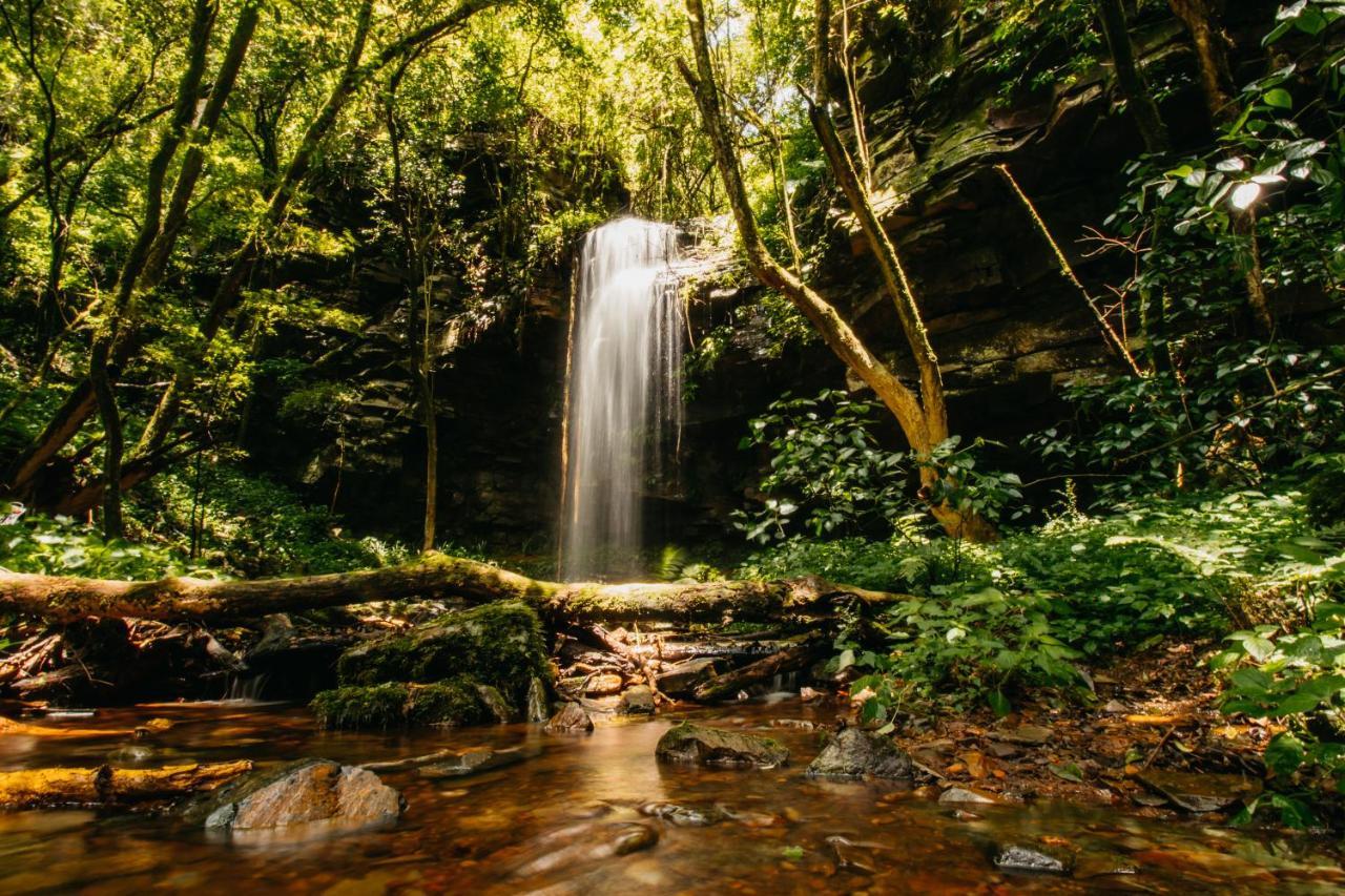 Mount Sheba Rainforest Hotel & Resort Pilgrimʼs Rest Exteriér fotografie